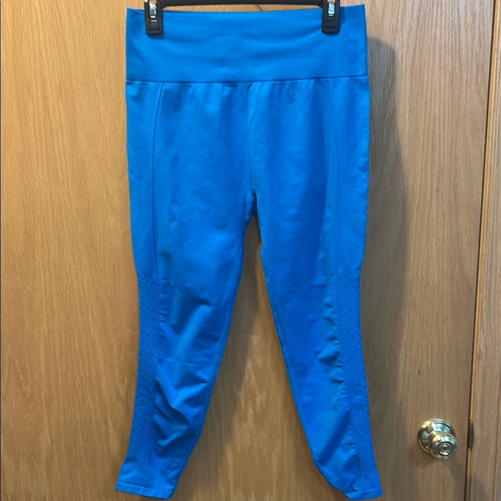Fabletics Blue Leggings